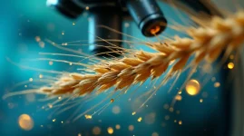 біодобрива