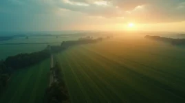 no-till
