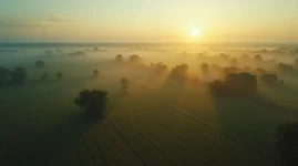 no-till