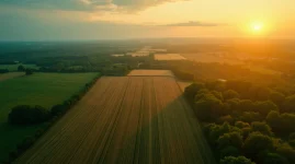 лісове господарство